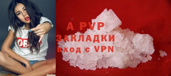 крисы Каменногорск