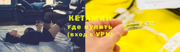 крисы Каменногорск