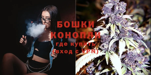 крисы Каменка