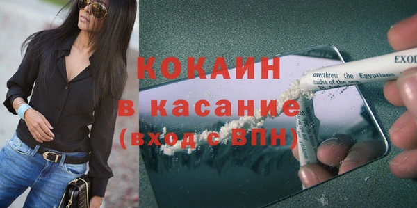 крисы Каменногорск