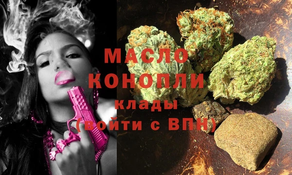крисы Каменка