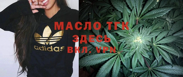 крисы Каменногорск