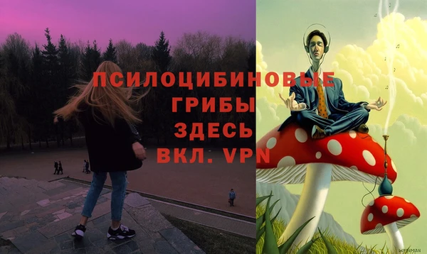 крисы Каменногорск