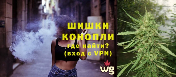 крисы Каменка
