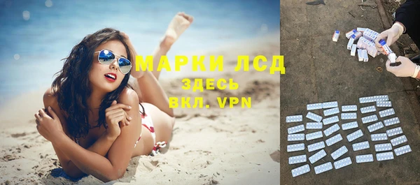 крисы Каменка
