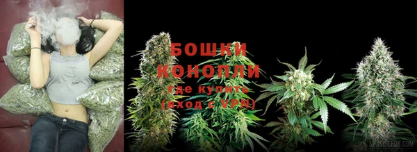 крисы Каменногорск