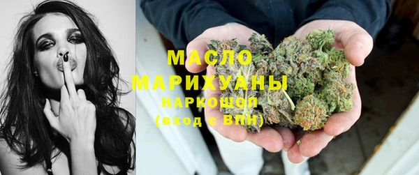 крисы Каменка