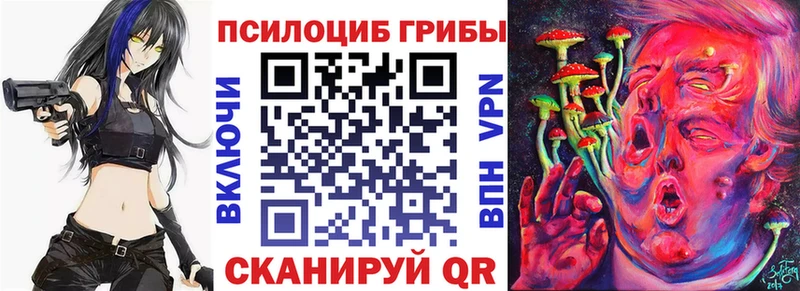 Купить  Высоковск  Галлюциногенные грибы Psilocybine cubensis 