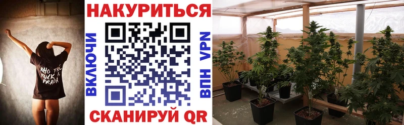 Купить Высоковск Каннабис сатива